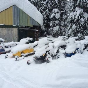 Meet your Posher, Harold